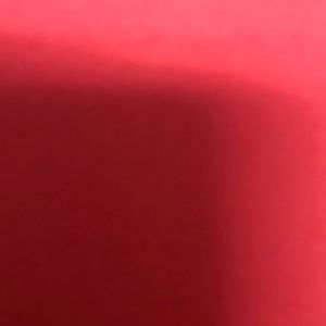 Meet your Posher, Bailey